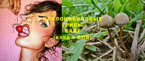 прущие крисы Краснотурьинск