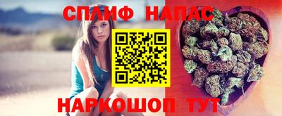 стаф Рязань