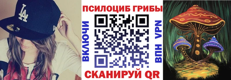 гидра ссылка  как найти закладки  Шебекино  Галлюциногенные грибы GOLDEN TEACHER 