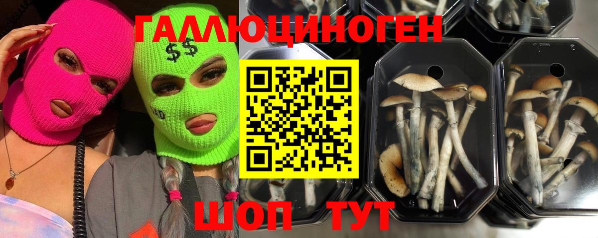 Галлюциногенные грибы ЛСД  Вход с VPN  Шебекино 